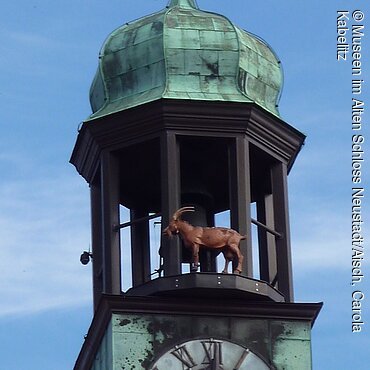 Geißbock auf dem Rathaus (Neustadt/Aisch, Steigerwald)