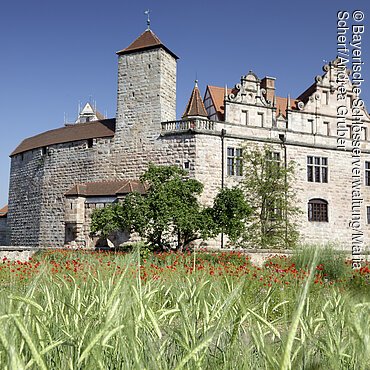 Cadolzburg bei Fürth (Nürnberg), Blick von Süden auf die Hauptburg und Burggarten mit blühendem Mohn