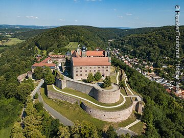 Die Luftaufnahme einer Burg auf einem zum Teil bewaldeten Hügel