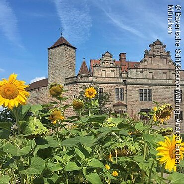 Cadolzburg bei Fürth (Nürnberg), Blick von Süden auf die Hauptburg mit Sonnenblumen im Burggarten