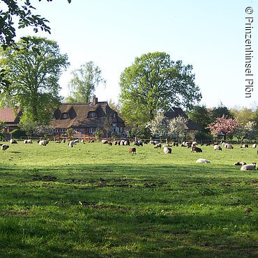 Bauernhaus, Prinzeninsel Plön