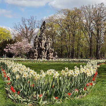 Frühling im Schlossgarten Erlangen