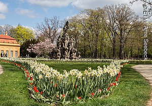 Frühling im Schlossgarten Erlangen