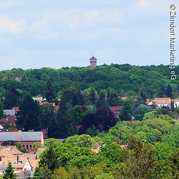 Vestner Turm im Hintergrund (Zirndorf, Romantisches Franken)