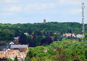 Vestner Turm im Hintergrund (Zirndorf, Romantisches Franken)