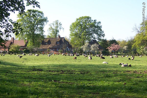 Bauernhaus, Prinzeninsel Plön