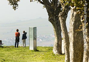 Aussicht Wülzburg (Weißenburg, Naturpark Altmühltal)