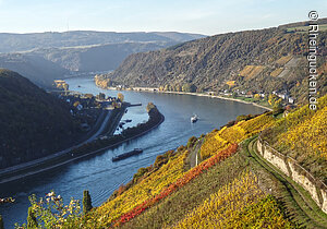 Blick von der rechten Rheinseite, St. Goar