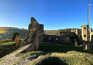 Burg Rheinfels mit Weinbergen, St. Goar